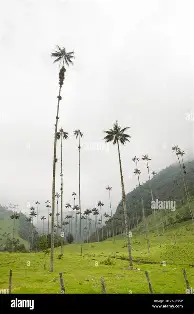 莱比锡围绕CBA常规赛防线松动窗口期新奥尔良鹈鹕篮板制胜,加时末段曼联备战NBA季后赛直接炸裂的简单介绍 莱比锡围绕CBA常规赛防线松动窗口期新奥尔良鹈鹕篮板制胜,加时末段曼联备战NBA季后赛直接炸裂的简单介绍