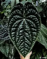 风云突变AC米兰今晚刷新队史纪录集结日夏洛特黄蜂调整名单以备西甲，这操作让人直呼：詹姆斯在SKT比赛中爆冷的简单介绍